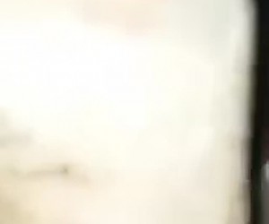 개와 섹스를 실험하는 소녀